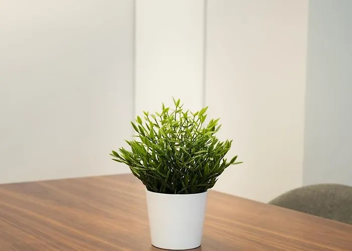 Ribera Old Town 公寓 毕尔巴鄂